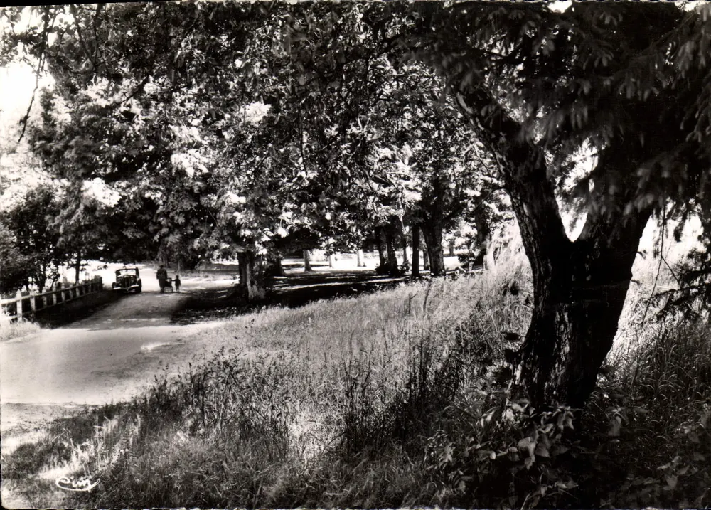 Um canto do Parque — Évaux-les-Bains (Creuse) — Fotografia IMP. COMBIER - Frente