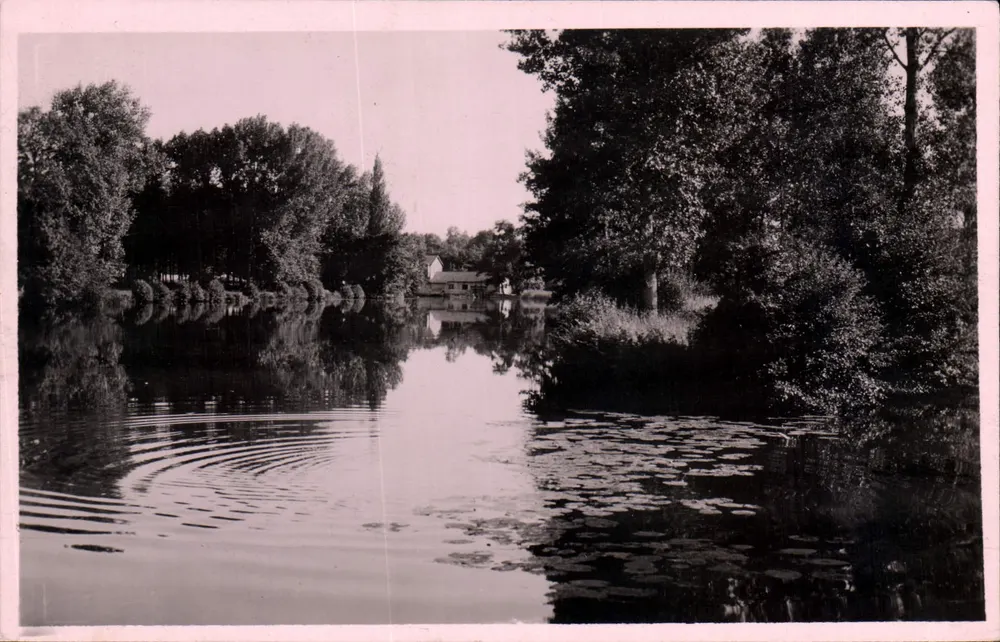 Ufer der Isle — Montpon-sur-l'Isle — Verlag RENÉ, Rue Mouchy, Périgueux - Vorderseite