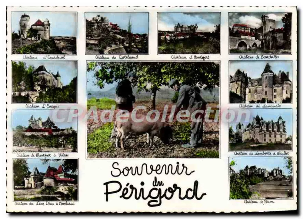 पेरिगॉर्ड के किले — पेरिगॉर्ड के स्मृति — (लिथो. बॉडूइन, बॉर्डेलॉन) - आगे