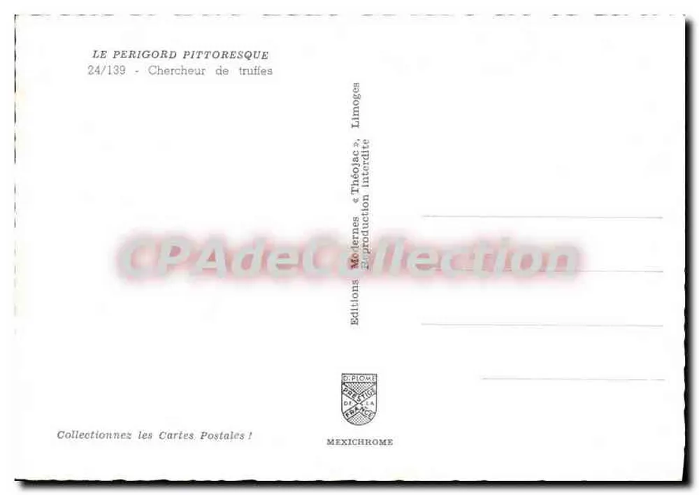 Caçador de trufas — Limoges — Éditions Diplome - Verso