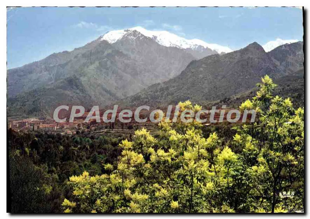 Mont Rotondo — allgemeiner Blick auf schneereichem Hintergrund — Editions Diplôme, Nr. 85 - Vorderseite