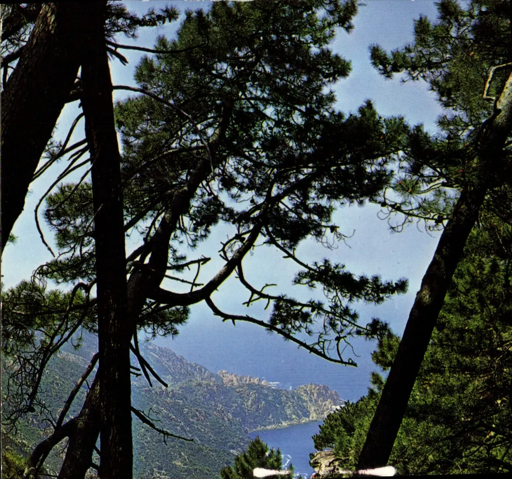 Calanches de Piana — Golfe de Porto — Éd. A. Rion, 18 — Corse-Sud - Vorderseite