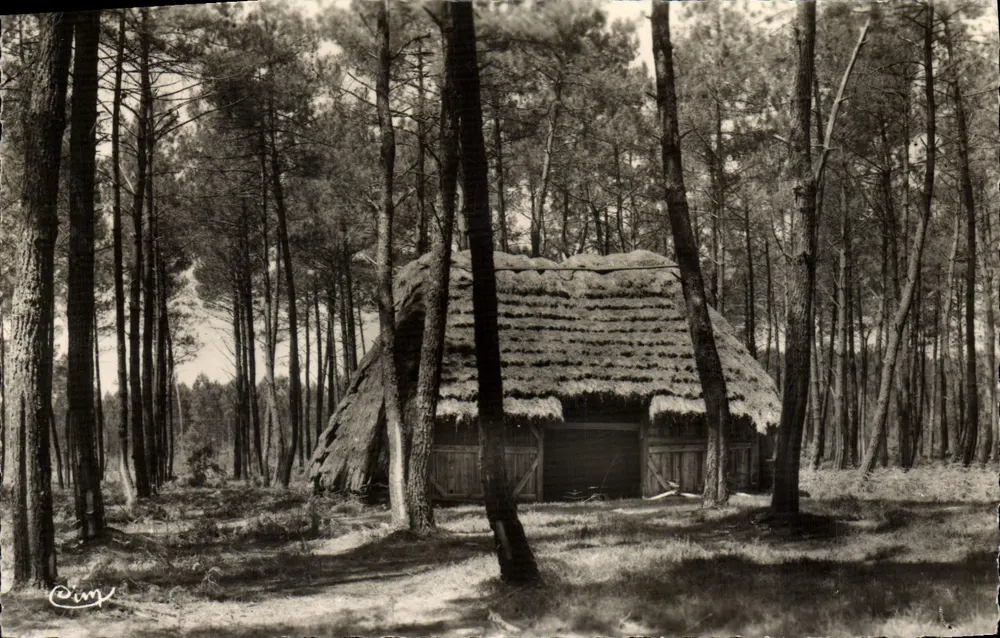 Refúgio na floresta — Paisagem Landais — Cimy - Frente