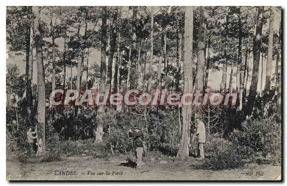 Landes — Vista da Floresta — ND PRAL - Frente