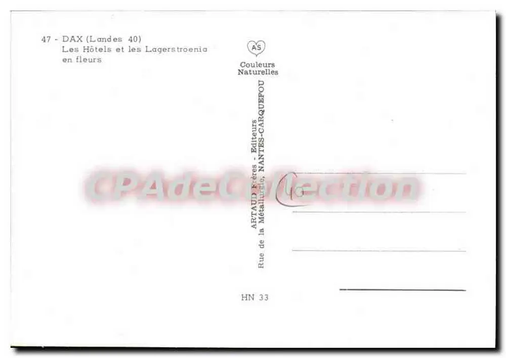 Dax (Landes 40) — Die Hotels und die blühenden Lagerstroemia — Aptand Frères, Nantes - Rückseite