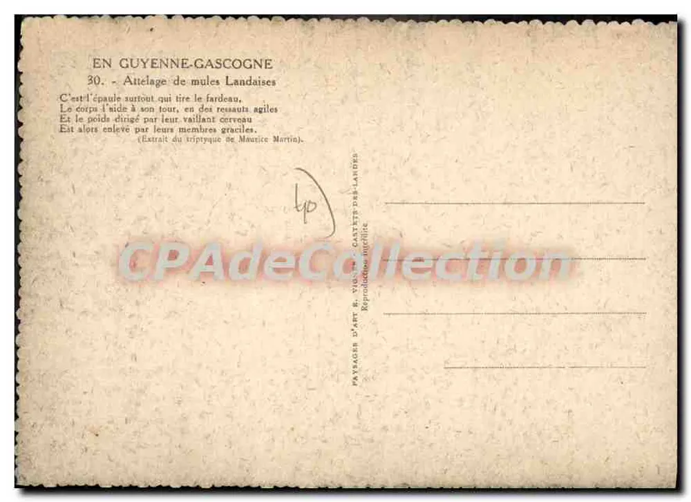 Atrelado de mulas Landaises — Em Guyenne-Gascogne — F. VIGNES - Verso