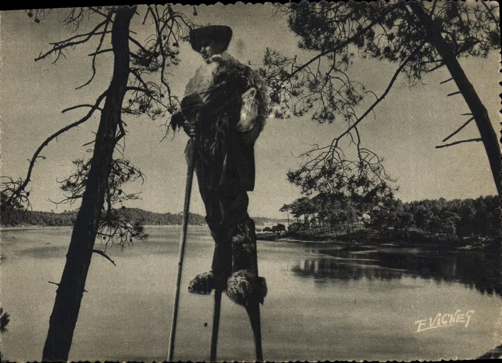 Echassier am Ufer eines Sees — In Guyenne-Gascogne — Verlag F. Vicney - Vorderseite