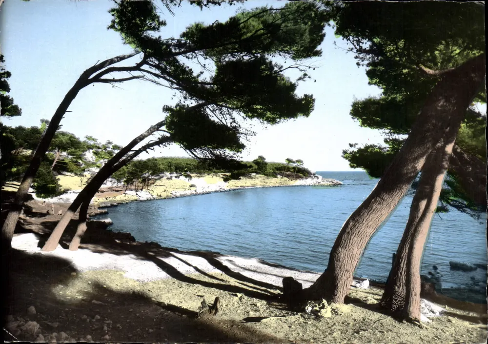 Calanque du Cap Rousset — Blick von den Kiefern — Société Éditions de France, Serie 14 - Vorderseite