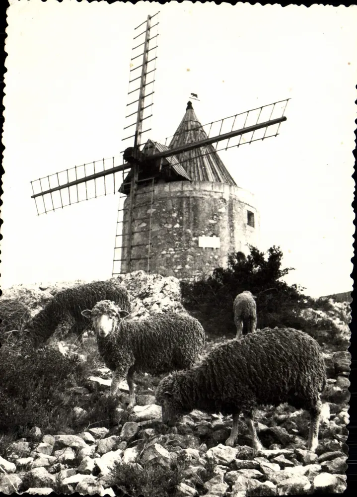 Moinho de Fontvieille — Provença — Les Belles Images de Provence - Frente