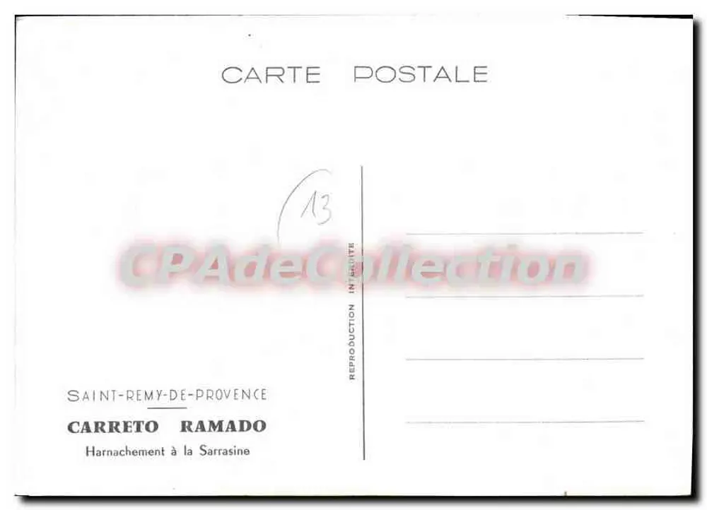 Festlicher Zaumzeug — Carreto Ramado — Saint-Rémy-de-Provence - Rückseite