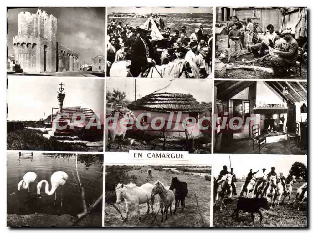 In der Camargue — Szenen aus dem Leben und Landschaften — CPAdeCollection - Vorderseite