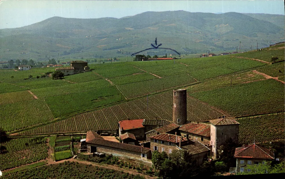 Domaine des Tours — Château Gaillard — Saint-Étienne-la-Varenne, Rhône - Vorderseite