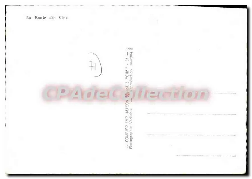 वाइन के रास्ता — मैकॉन — एडिटर कॉम्बियर - पीछे