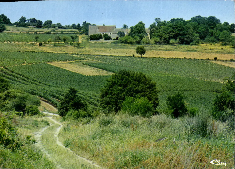 Wijnstokken en kasteel in Givry — Het Kettinkje van de Mönchen — uitgever Ping - Voorkant