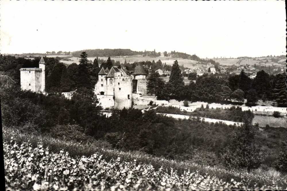 Couches (Saône-et-Loire) — Landschaft mit Schloss und Umgebung — Verlag Cartes postales à Barizy (S.-et-L.) - Vorderseite