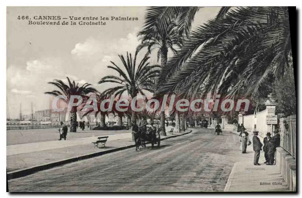 CANNES — Ansicht zwischen den Palmen — Boulevard de la Croisette — Edition GDetta, Nr. 466 - Vorderseite