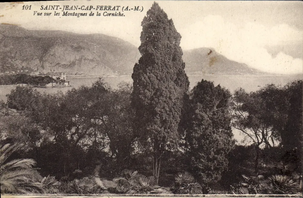 Saint-Jean-Cap-Ferrat (A.-M.) — Aussicht auf die Berge der Corniche — Verlag A.-M., Nr. 101 - Vorderseite