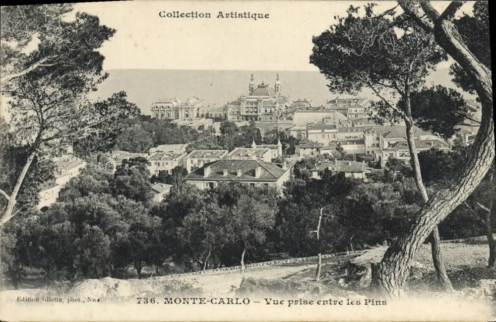 MONTE-CARLO — Vue prise entre les Pins — Édition Giletta, phot. Nice, n° 736 - Recto