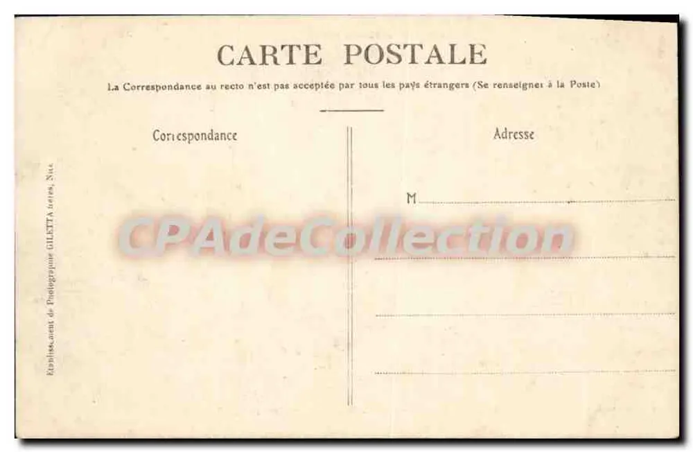 MONTE-CARLO — Vue prise entre les Pins — Édition Giletta, phot. Nice, n° 736 - Verso