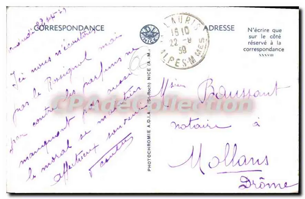 Die blühende Côte d'Azur — Margeriten pflücken — ADIA 10634 - Rückseite