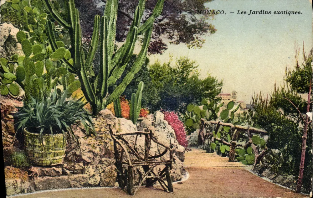 Monaco — Die exotischen Gärten — Verlag Lépante, Nizza, n°41 - Vorderseite