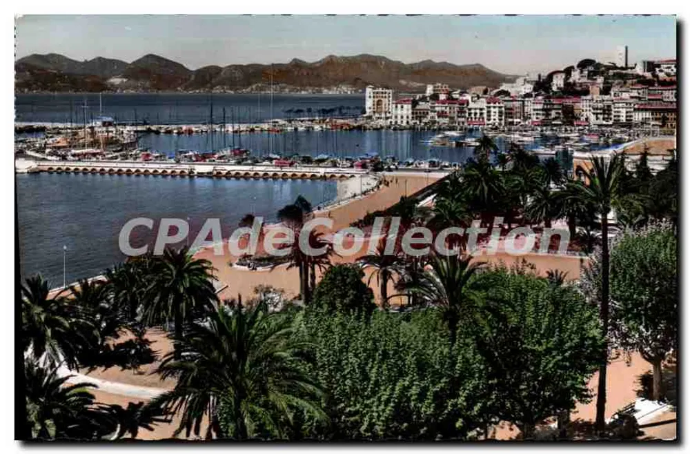Cannes — Zum Mont Chevalier — L'Estérel — L. Gilletta & Cie, Fotograf in Nizza - Vorderseite