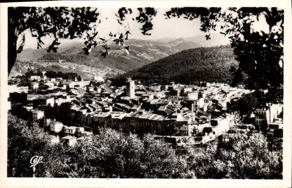Weronia — Ogólny widok — wydawca REAL THO — nr 19 - Awers