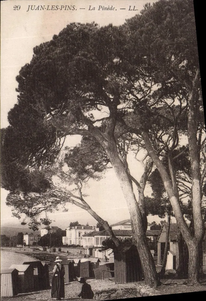 Juan-les-Pins — A Pinède — LL. - Frente