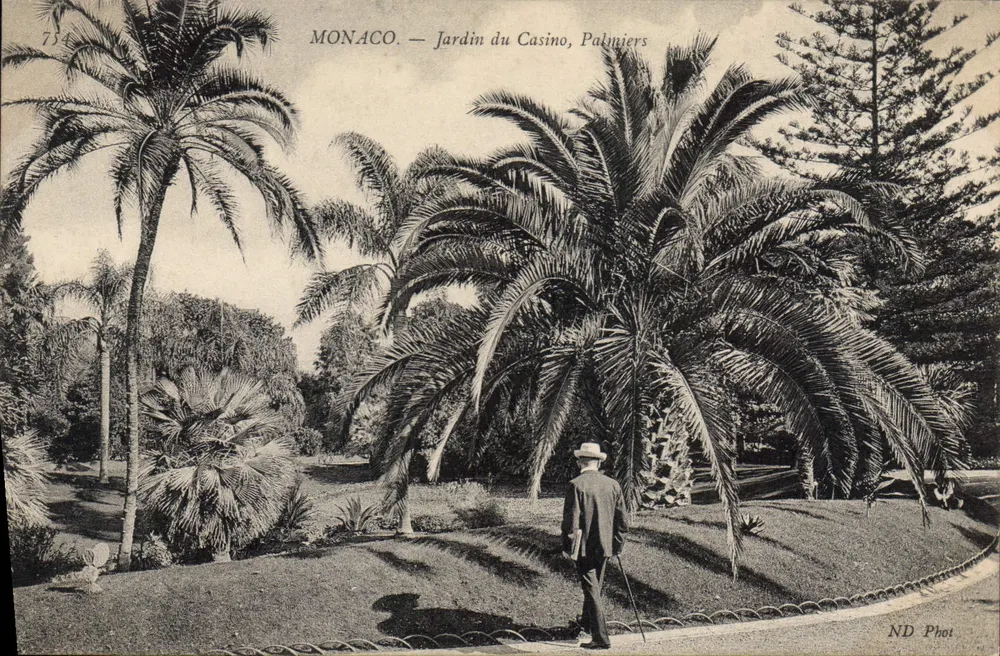 Monaco — Garten des Casinos, Palmen — ND Phot - Vorderseite