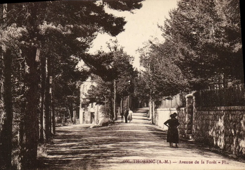 Thorenc (A.-M.) — Avenida da Floresta — PL. - Frente