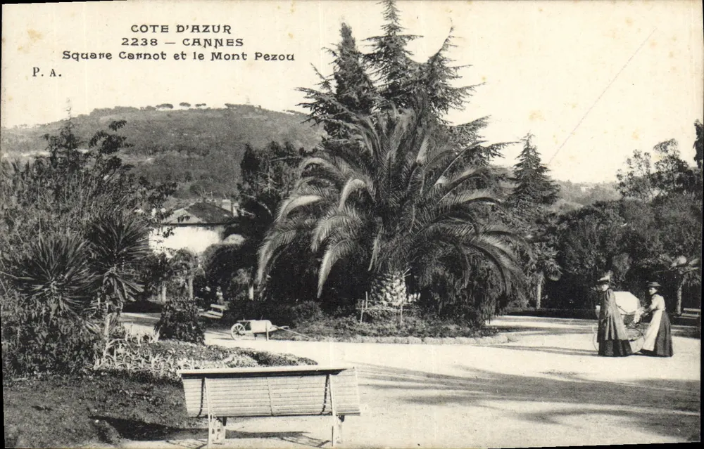 Square Carnot und Mount Pezou — Cannes — P.A. 2238 - Vorderseite