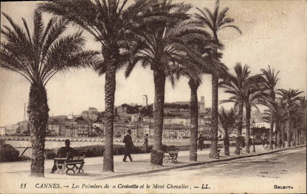 CANNES — Die Palmen der Croisette und der Mont Chevalier — SELECTA LL - Vorderseite
