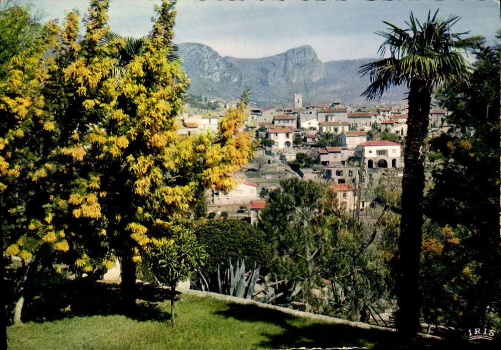 Vence — Vista geral — IRIS - Frente