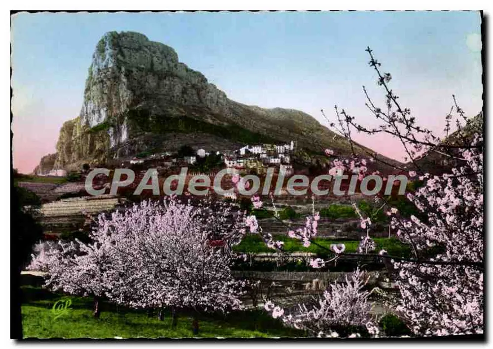Saint-Jeanet (A.M.) — Frühling - Blühende Kirschbäume — Real-Photo - Cie des Arts Photomécaniques (152) - Vorderseite