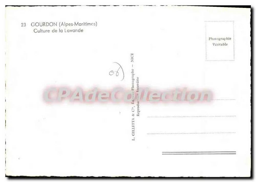 Gourdon (Alpes-Maritimes) — Lavendelfeld — L. Gilletta & Cie, Fotograf - Nice - Rückseite