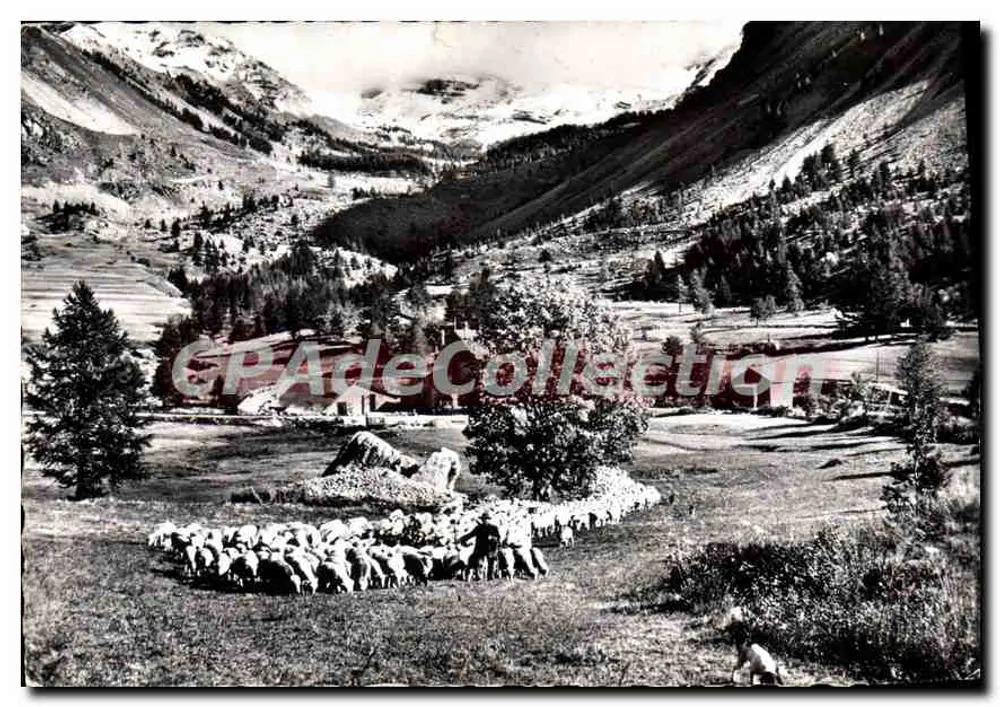 Transhumance — Relais de la Cayolle (Alt. 1800) — Antike Ansichtskarte aus Sammlung - Vorderseite