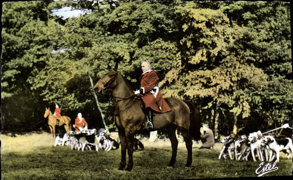 Hundegesellschaft — Forêt de Rambouillet — Estel - Vorderseite