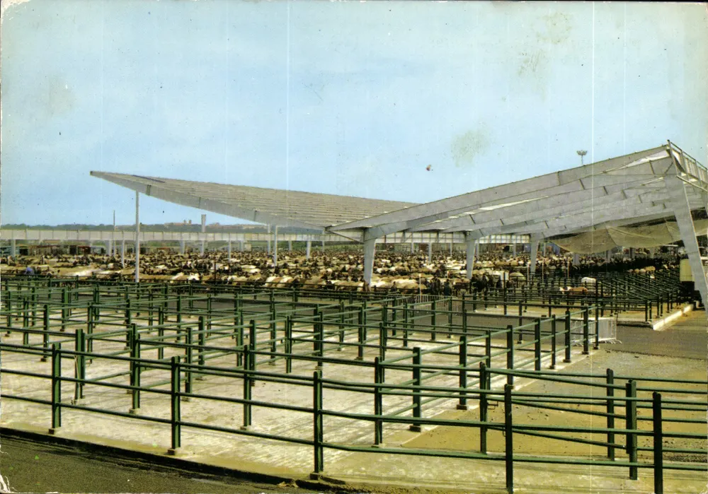 Partenay (Deux-Sèvres) — Viehmarkt — Verleger Artaut & Cie, Nantes - Vorderseite
