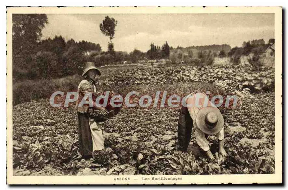 AMIENS — Les Hortillionnages — Raphael Caron, Photo-Editor, Amiens - Frente