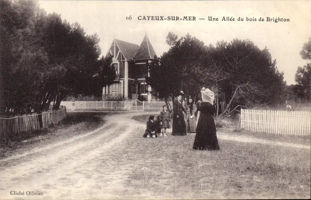 CAYEUX-SUR-MER — Eine Allee im Brighton-Wald — Foto Ollivier - Vorderseite