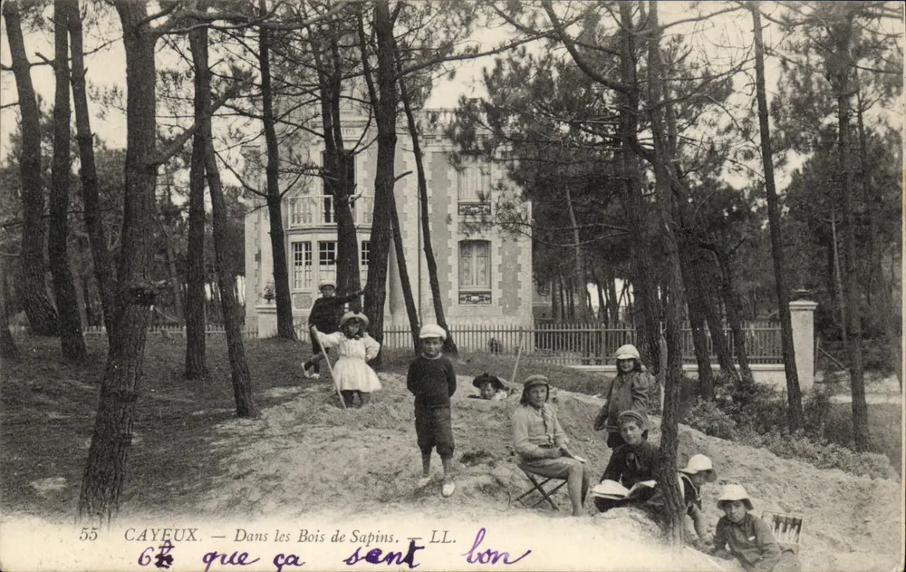 Cayeux-sur-Mer — Nos Bosques de Pinheiros — LL. n°55 - Frente
