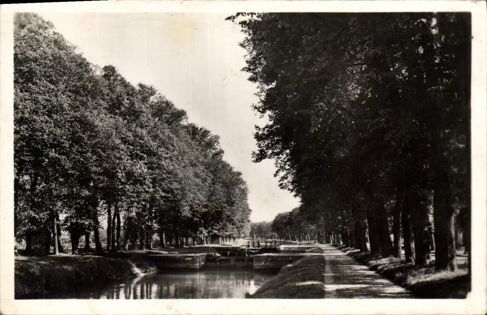 Abbeville — Promenades des Boulevards — Verleger J. Léand, n°14 - Vorderseite