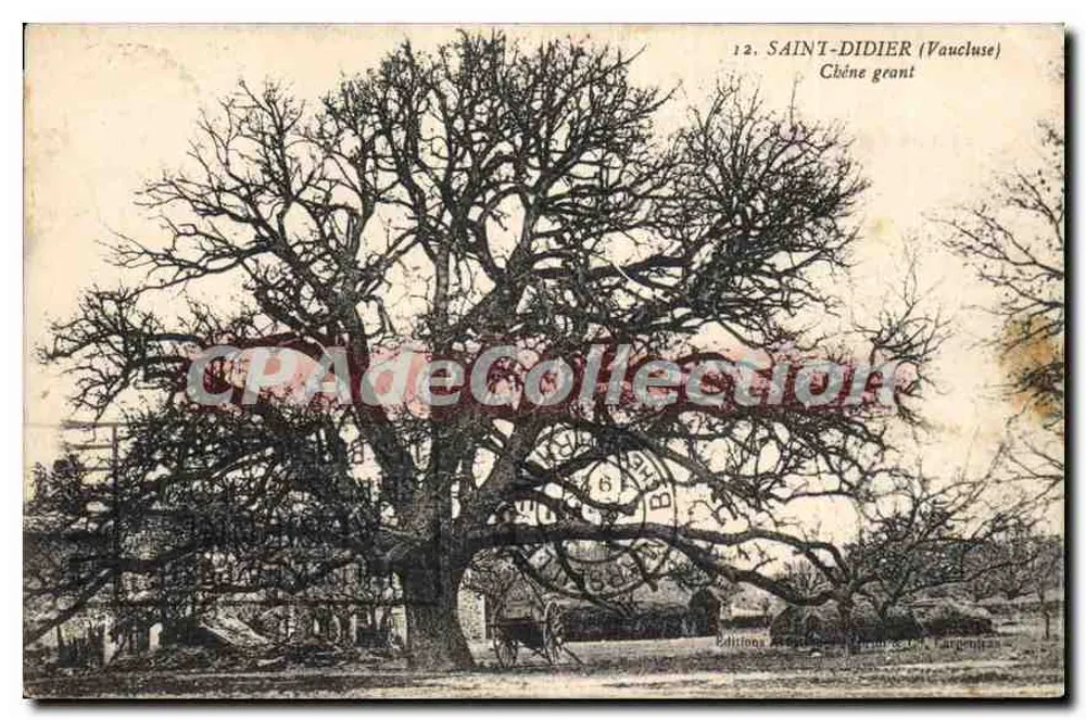 सेंट-डिडियर (वॉक्लस) — एक भारी केंद्रीय वृक्ष — ए. डौडिन के संस्करण, वॉक्लस - आगे