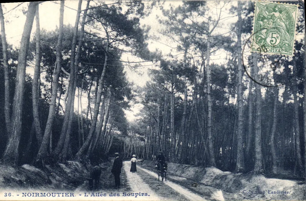 Noirmoutier - La Avenida de los Suspiros — Colección Landivier, n°36 - Anverso