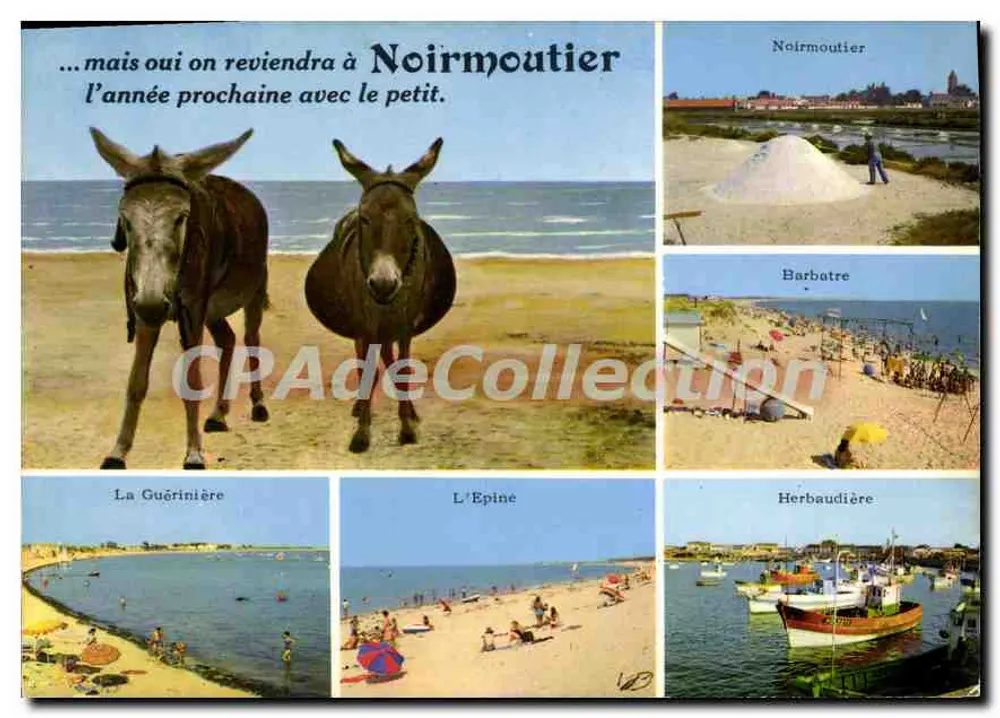Noirmoutier — vista panorâmica com jumentos e praias — Edição da Estacad - 85.206 - Frente
