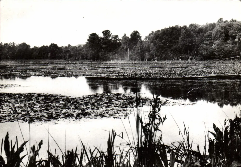 Etang de Clairefontaine — St-Ouen-en-Belin, Sarthe — Édition L. HERMAULT - Vorderseite