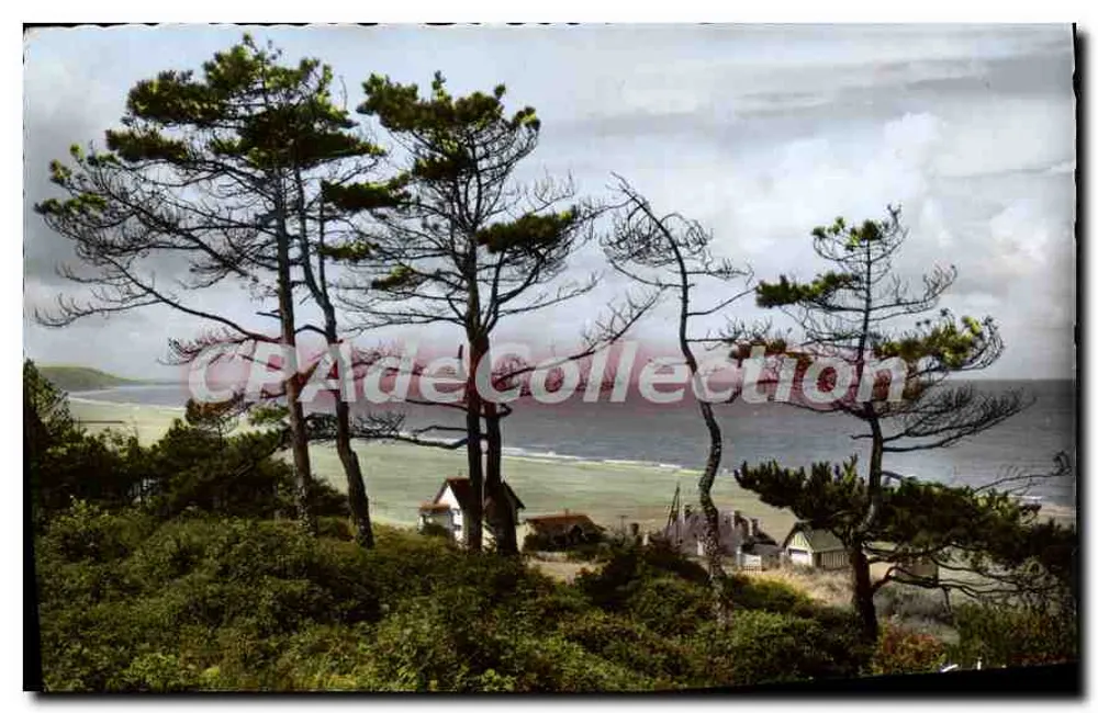 Blonville-sur-Mer — Blick auf die Küste durch die Kiefern — Editions Gaby - Vorderseite