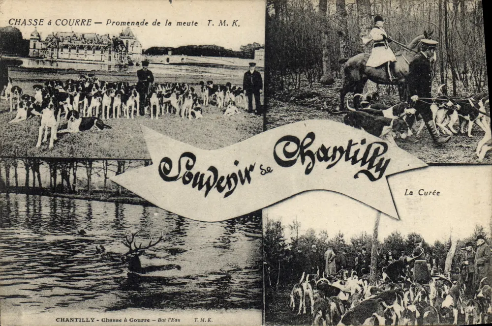 Chasse à Courre — Promenade de la meute — Chantilly — T.M.K. - Recto