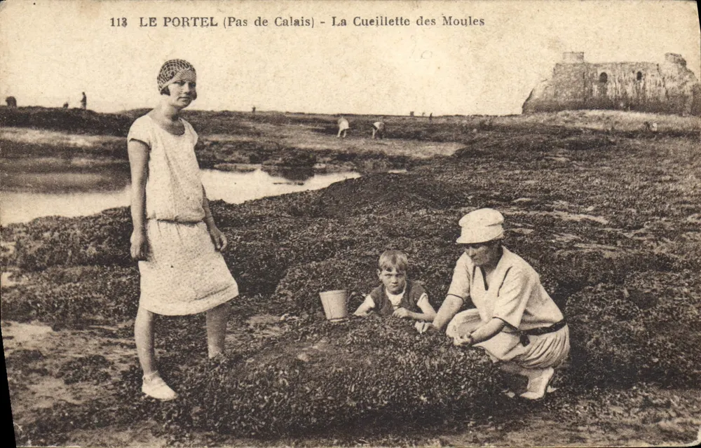 Le Portel (Pas de Calais) — A Colheita de Móis — Edição Largemain, n° 113 - Frente