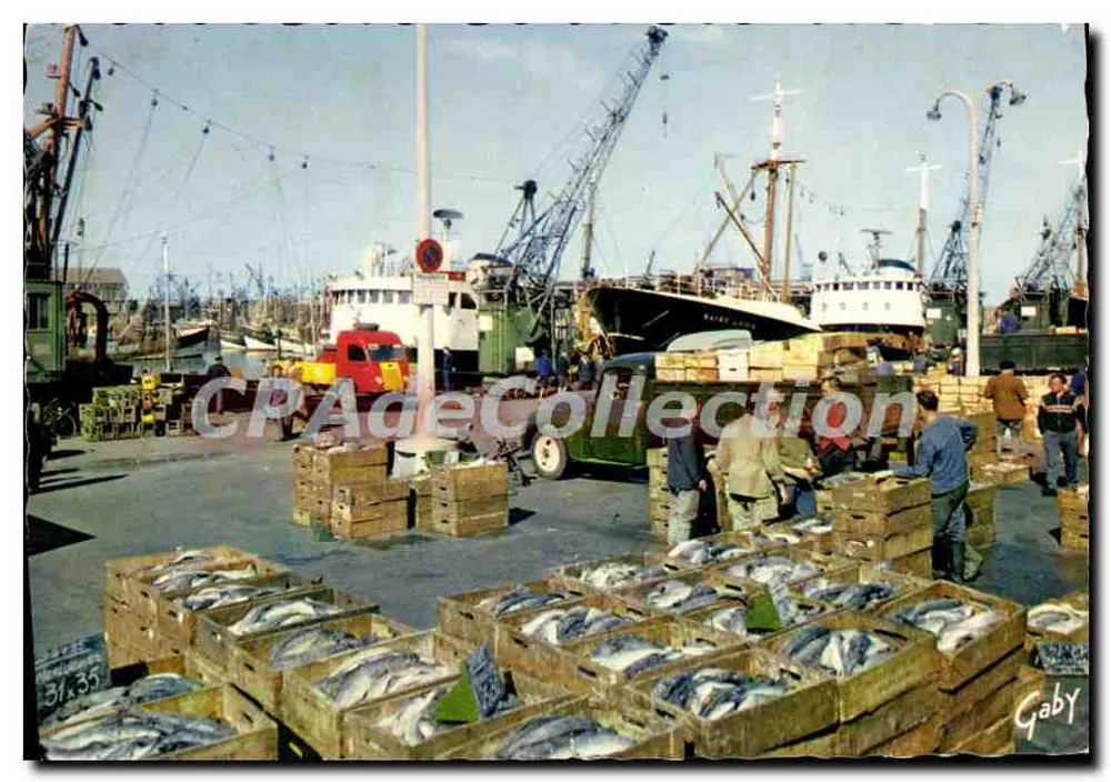 Desembarque de peixe em Boulogne-sur-Mer — Gaby, Edições Gaby - Frente